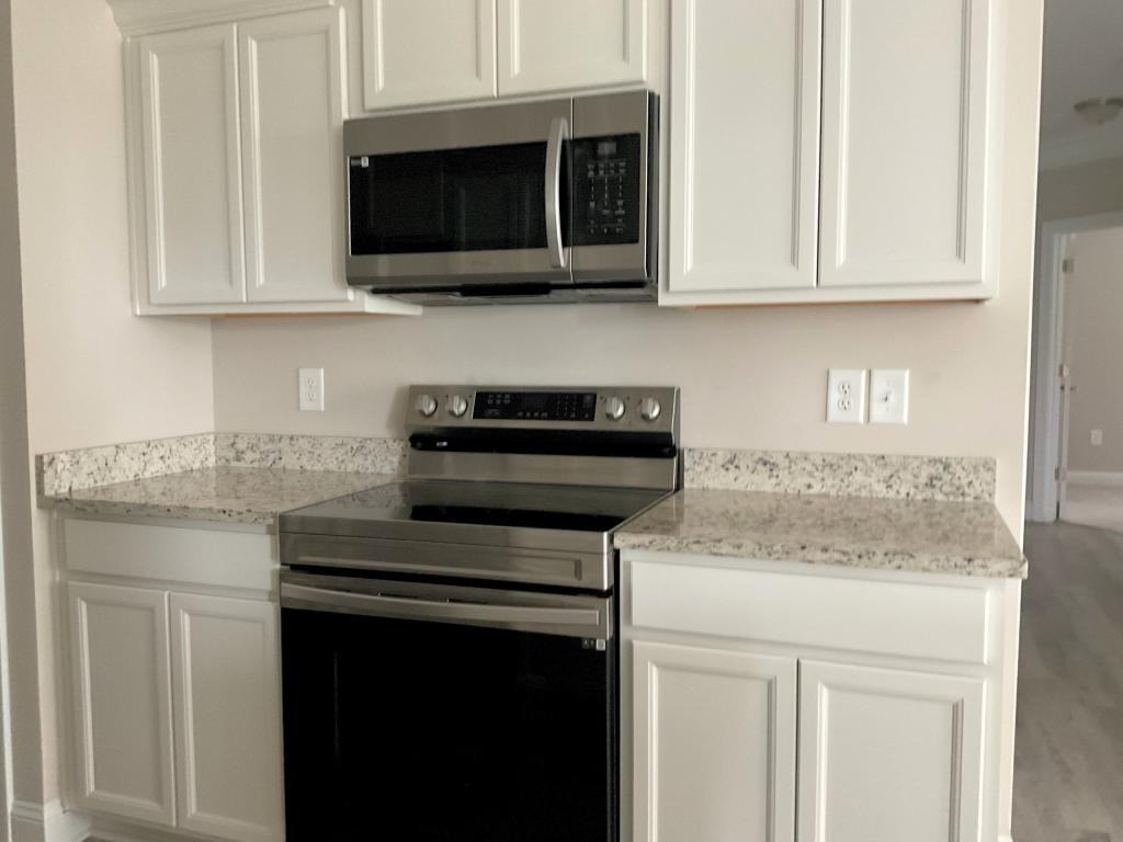 157 Ella Kinley Cir - Photo 3 of 23