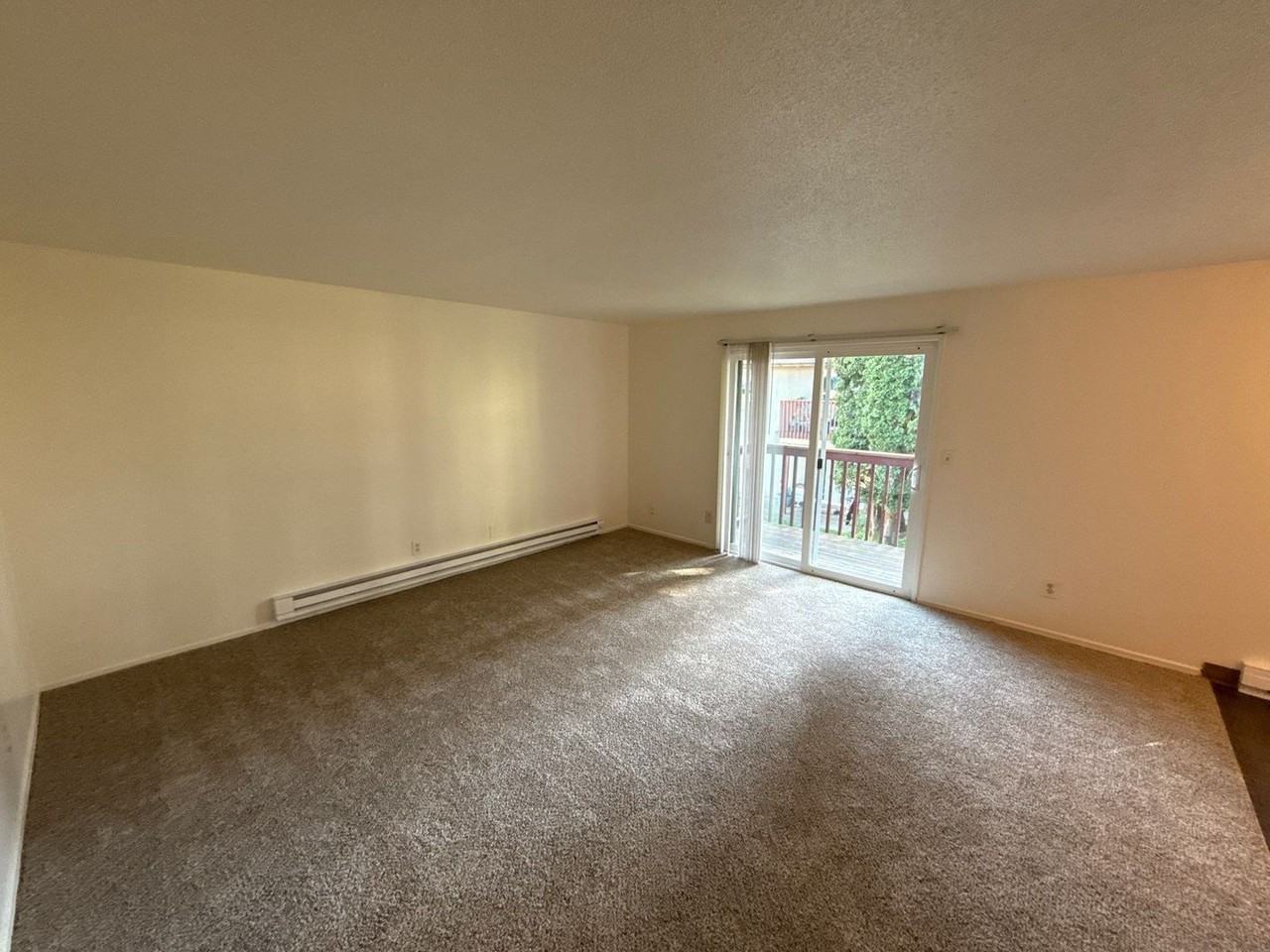 3792 Iberis St Ne - Photo 3 of 23