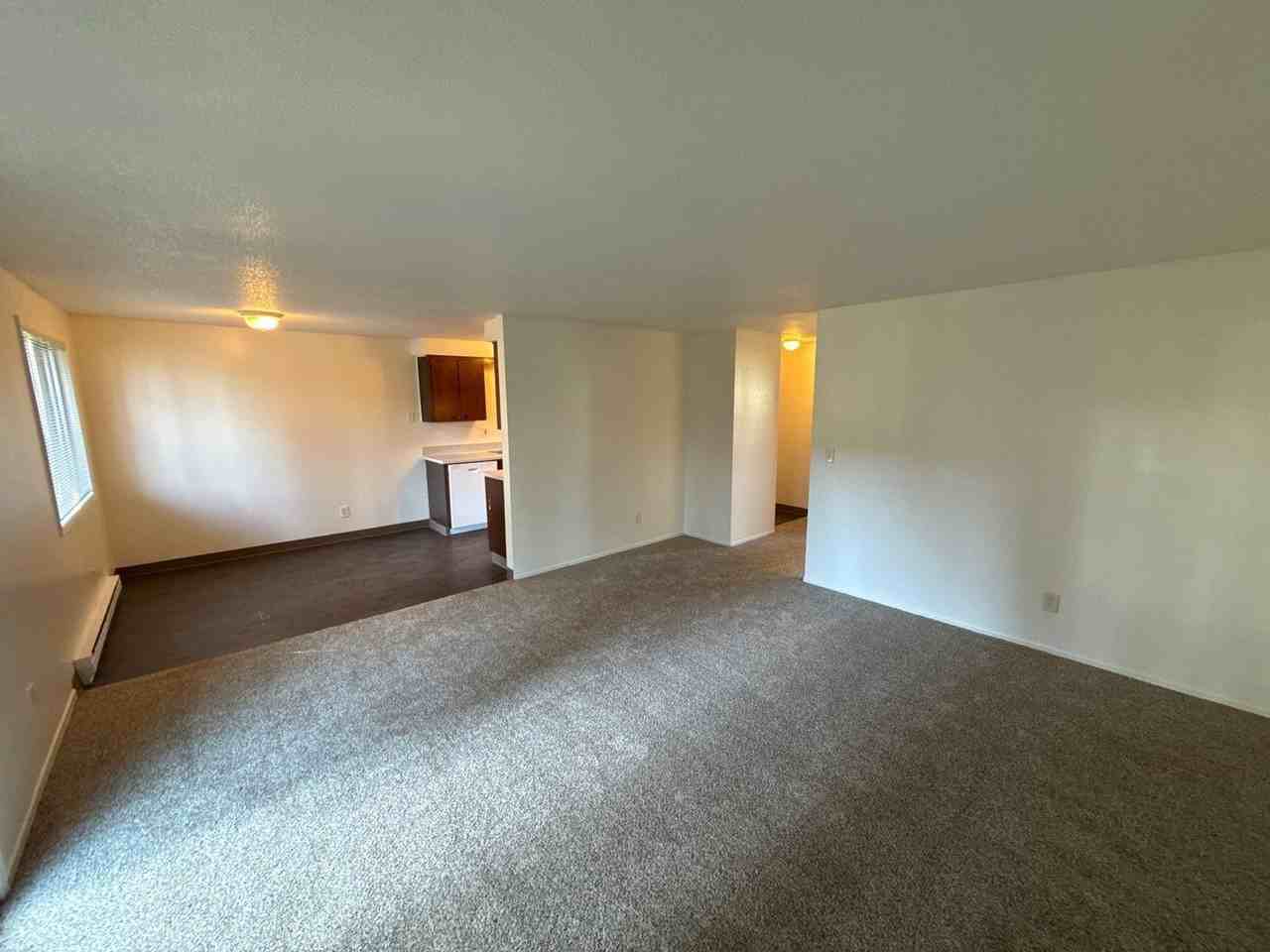 3792 Iberis St Ne - Photo 5 of 23