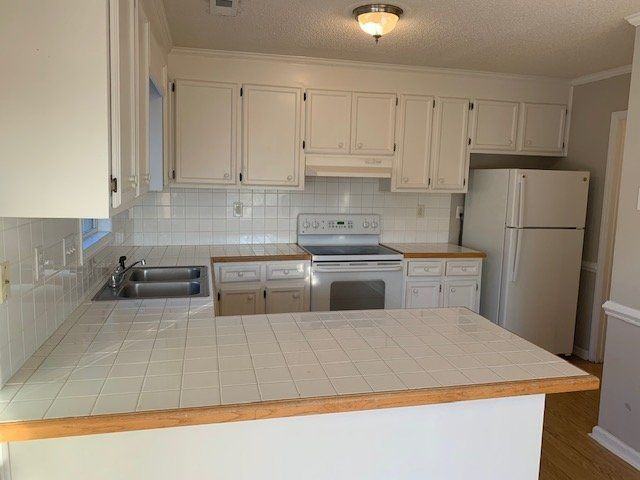 1025 Spring Forest Rd - Photo 4 of 19