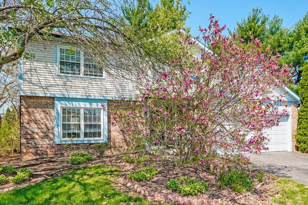 6955 Pine Bark Ln - Photo 5 of 18