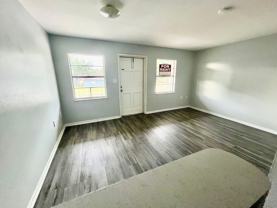 Spacious Remodeled 1BR/1BA  Apartment with Beautiful New LVT Flooring - Photo 1 of 1
