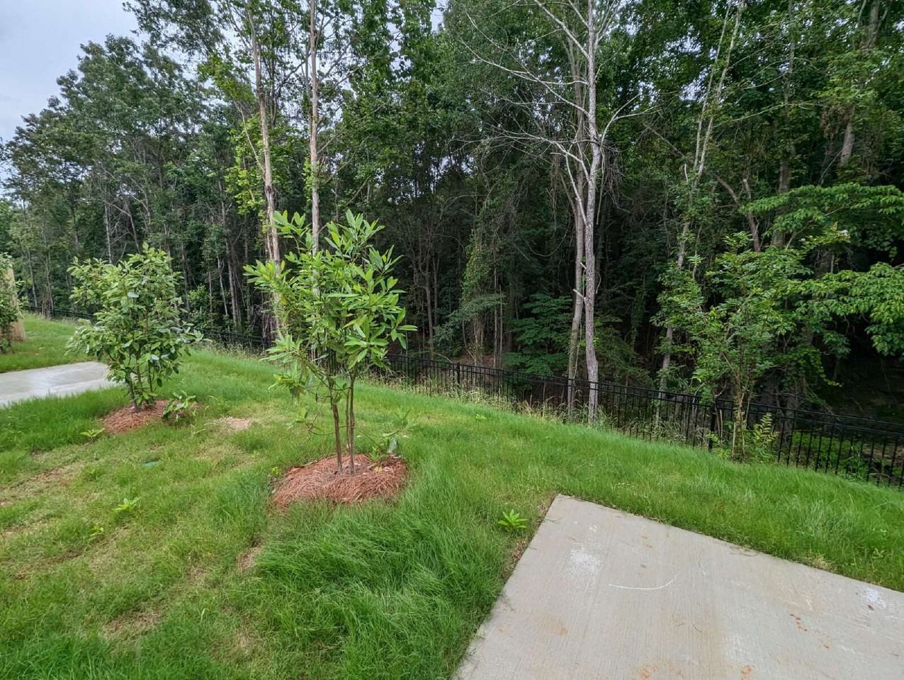 514 Meadow Crest Cir - Photo 3 of 26