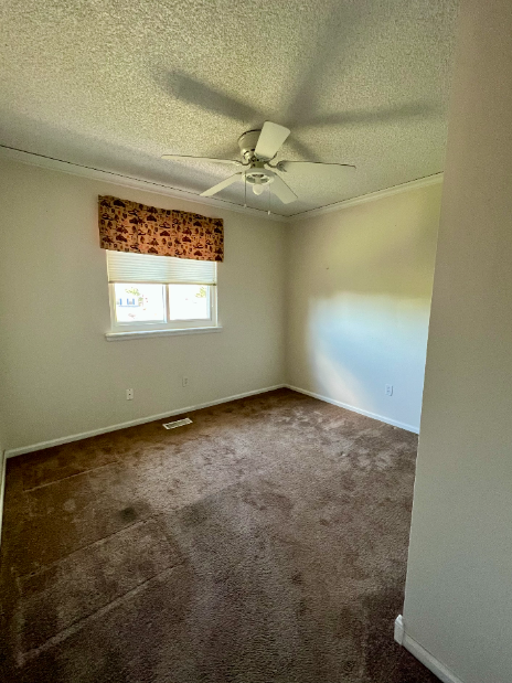 4105 Magnolia Dr - Photo 3 of 13