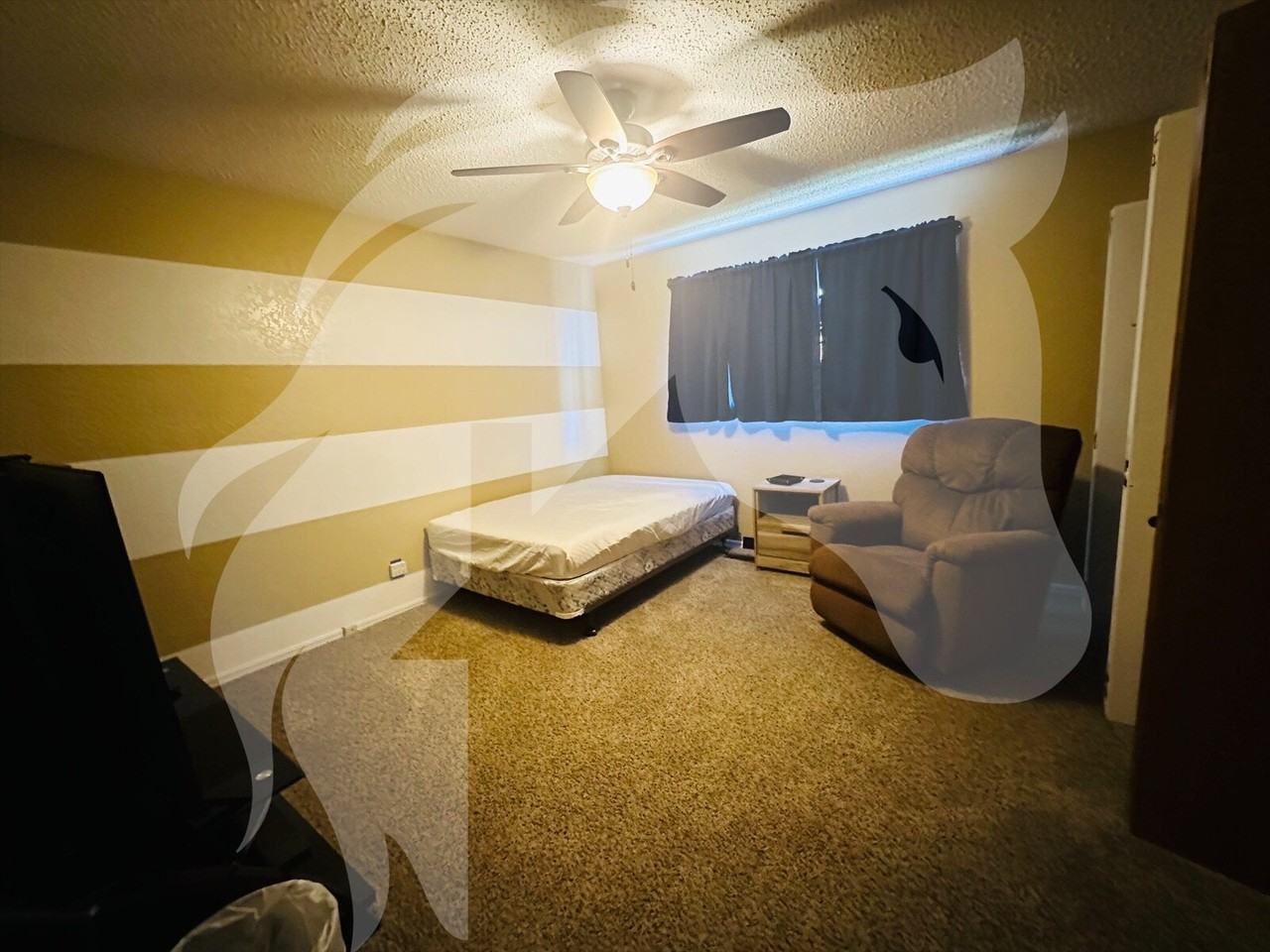 2906 Blue Sage Dr #2 - Photo 2 of 4