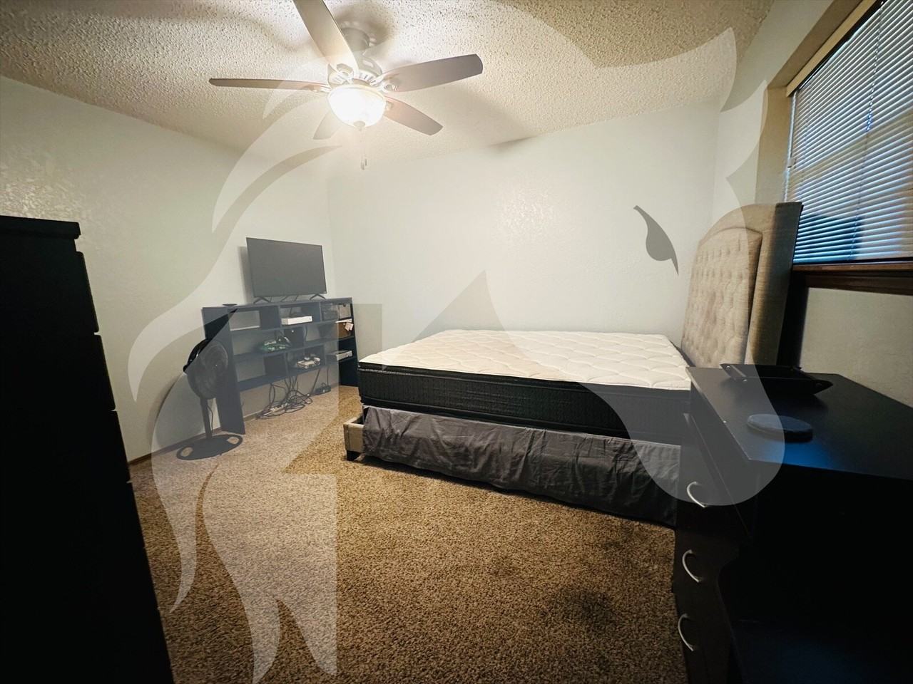 2906 Blue Sage Dr #2 - Photo 3 of 4