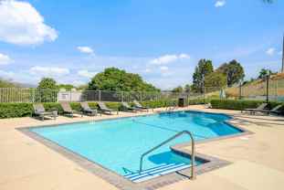 Bonita Cedars - Photo 1 of 1