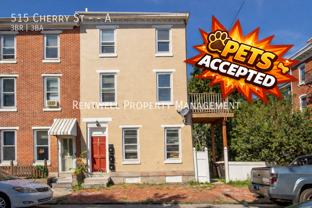 515 Cherry St #A - Photo 1 of 1