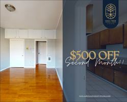 featured image of 3407 International Blvd