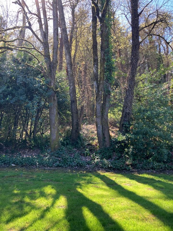 6021 Northwest 60th Avenue #A - Photo 7 of 34