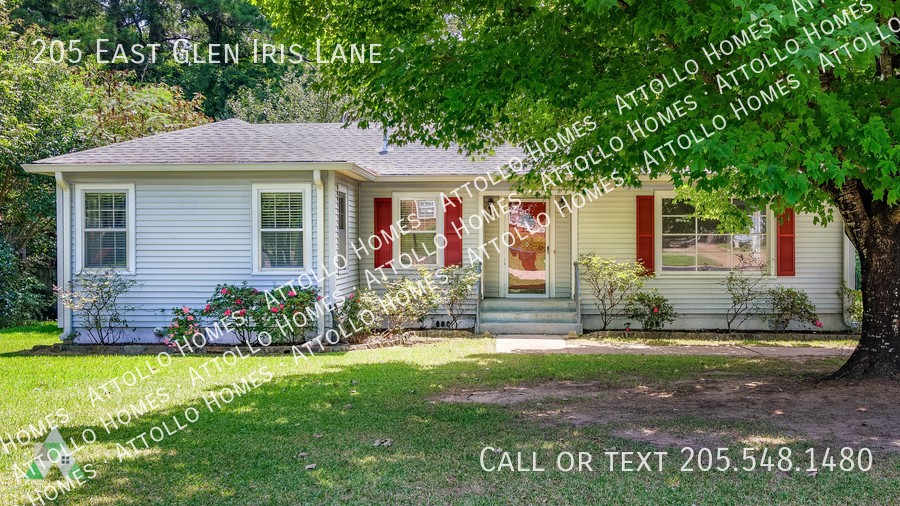 205 E Glen Iris Ln - Photo 2 of 46