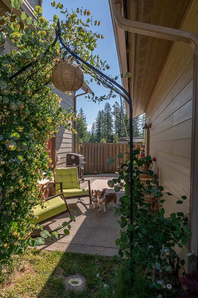 123 Trestle View Ct - Photo 5 of 6