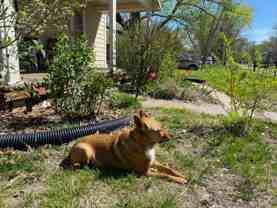 246 N 8th St - Photo 1 of 1