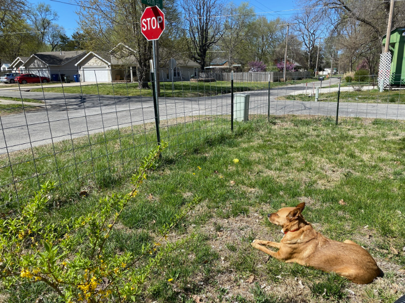 246 N 8th St - Photo 2 of 4