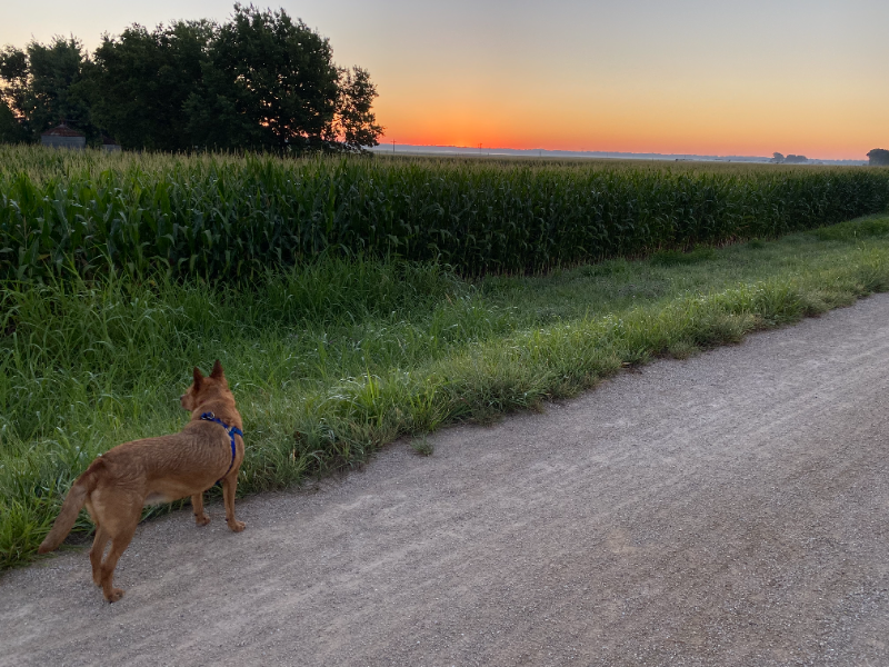 246 N 8th St - Photo 3 of 4