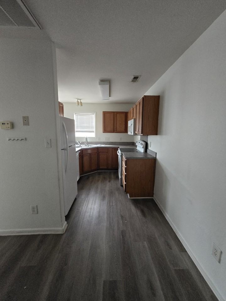 1145 Triece Ln - Photo 6 of 12