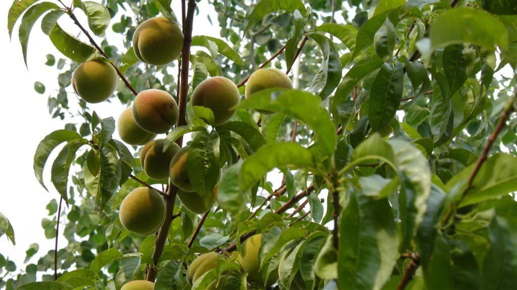 2867 Ne Sedalia Loop - Photo 5 of 18