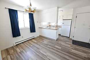 1103 Broaddus St - Photo 1 of 1