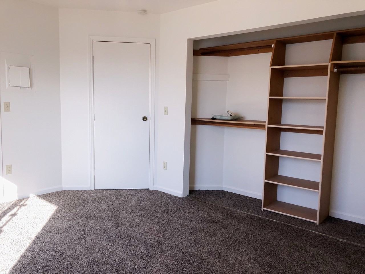 1103 Broaddus St - Photo 2 of 50