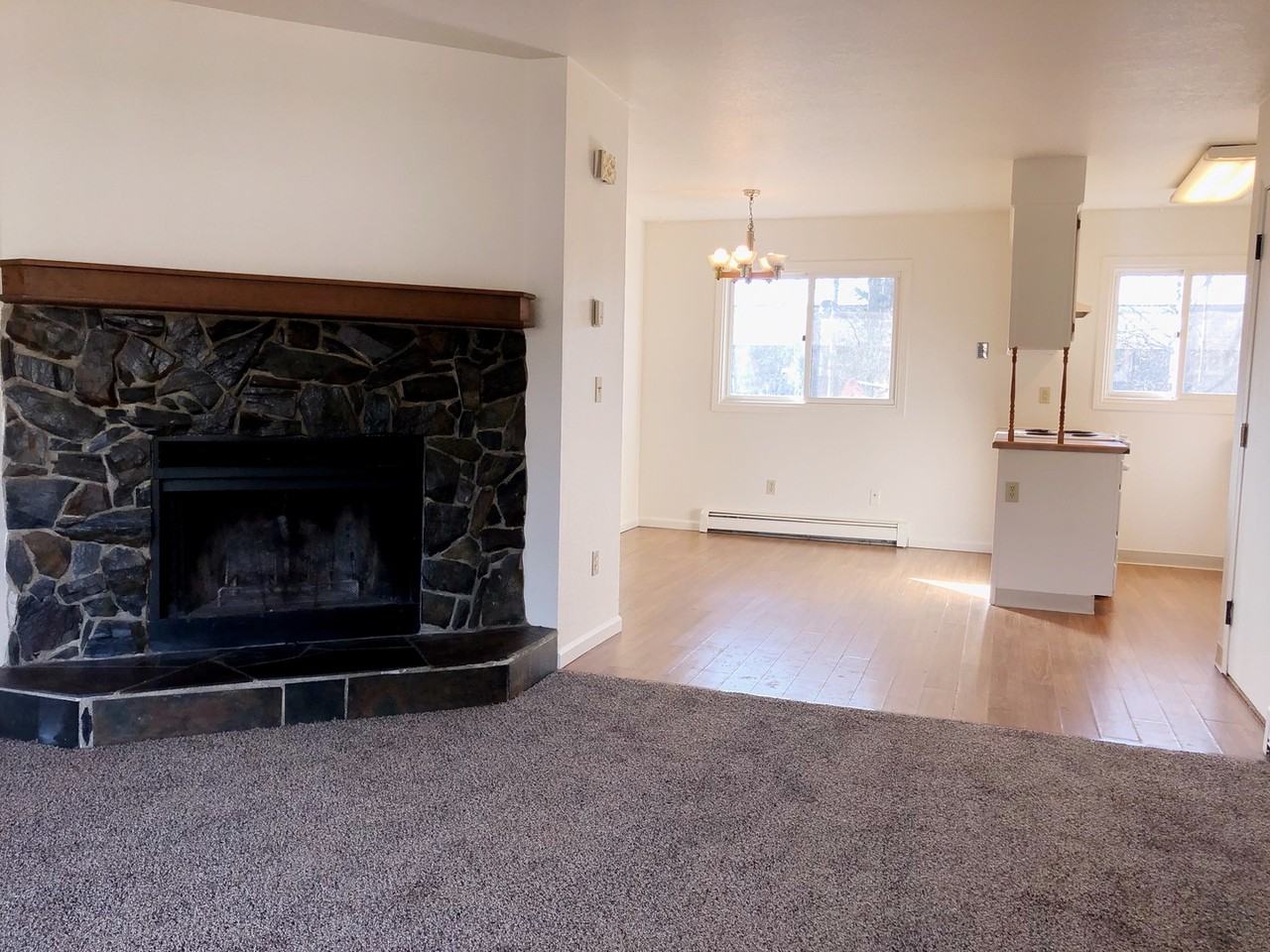 1103 Broaddus St - Photo 4 of 50