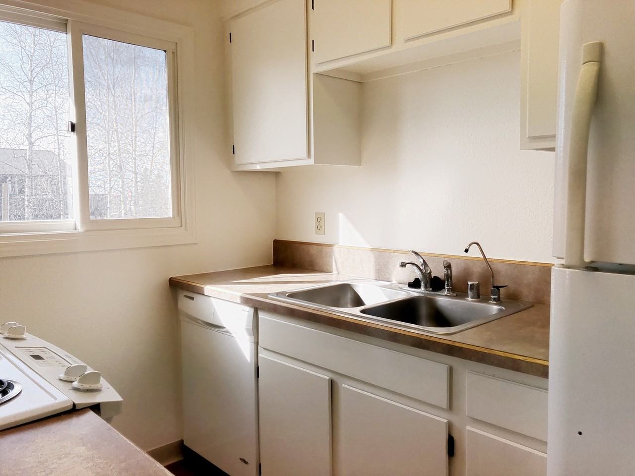 1103 Broaddus St - Photo 7 of 50