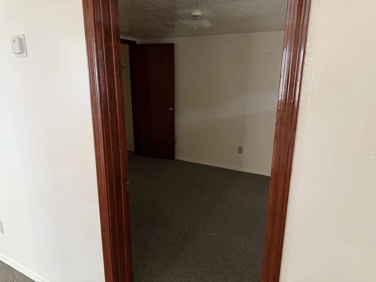 213 Pershing Ave - Photo 4 of 10