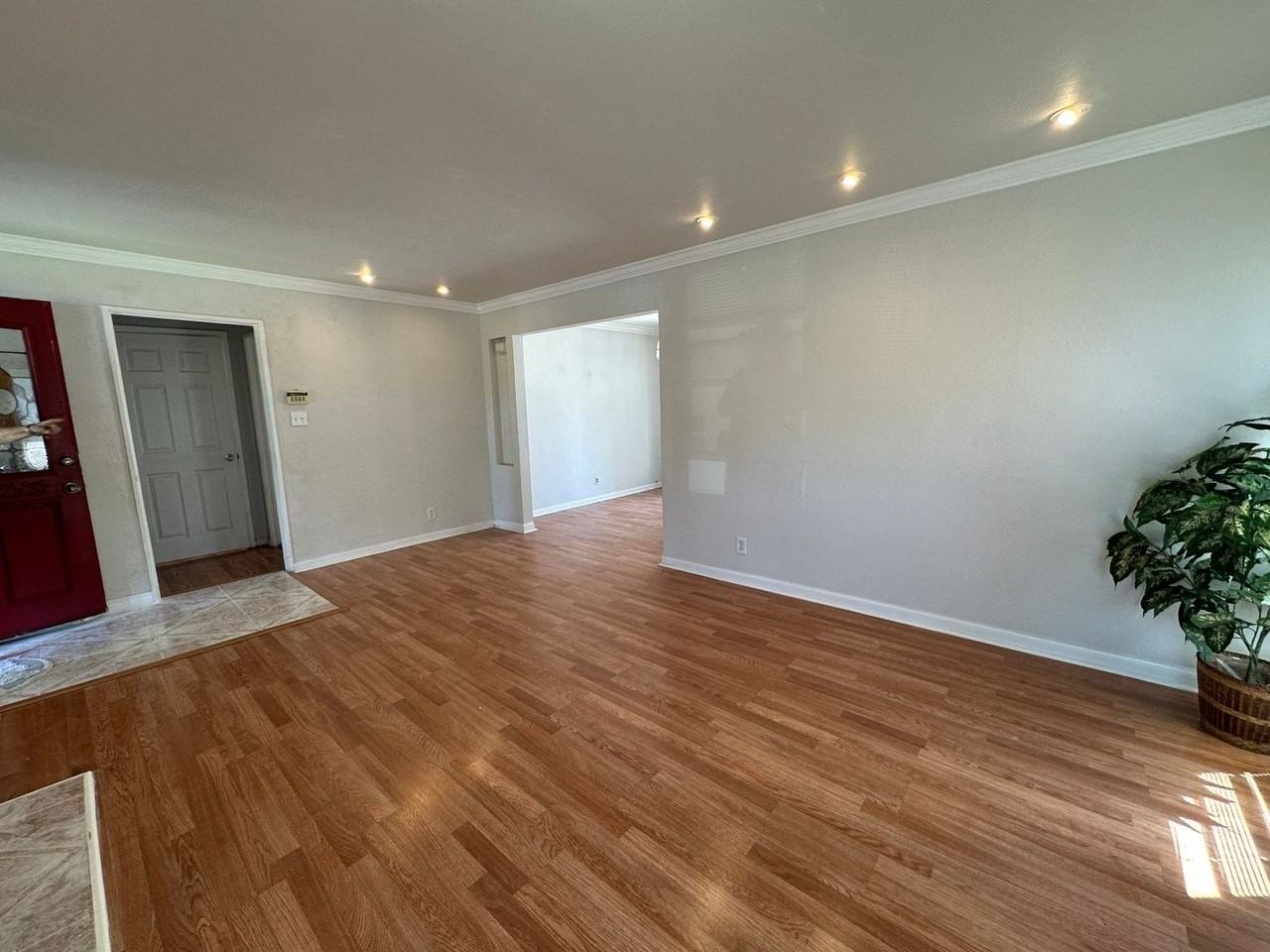 546 Richmond Ave - Photo 5 of 11