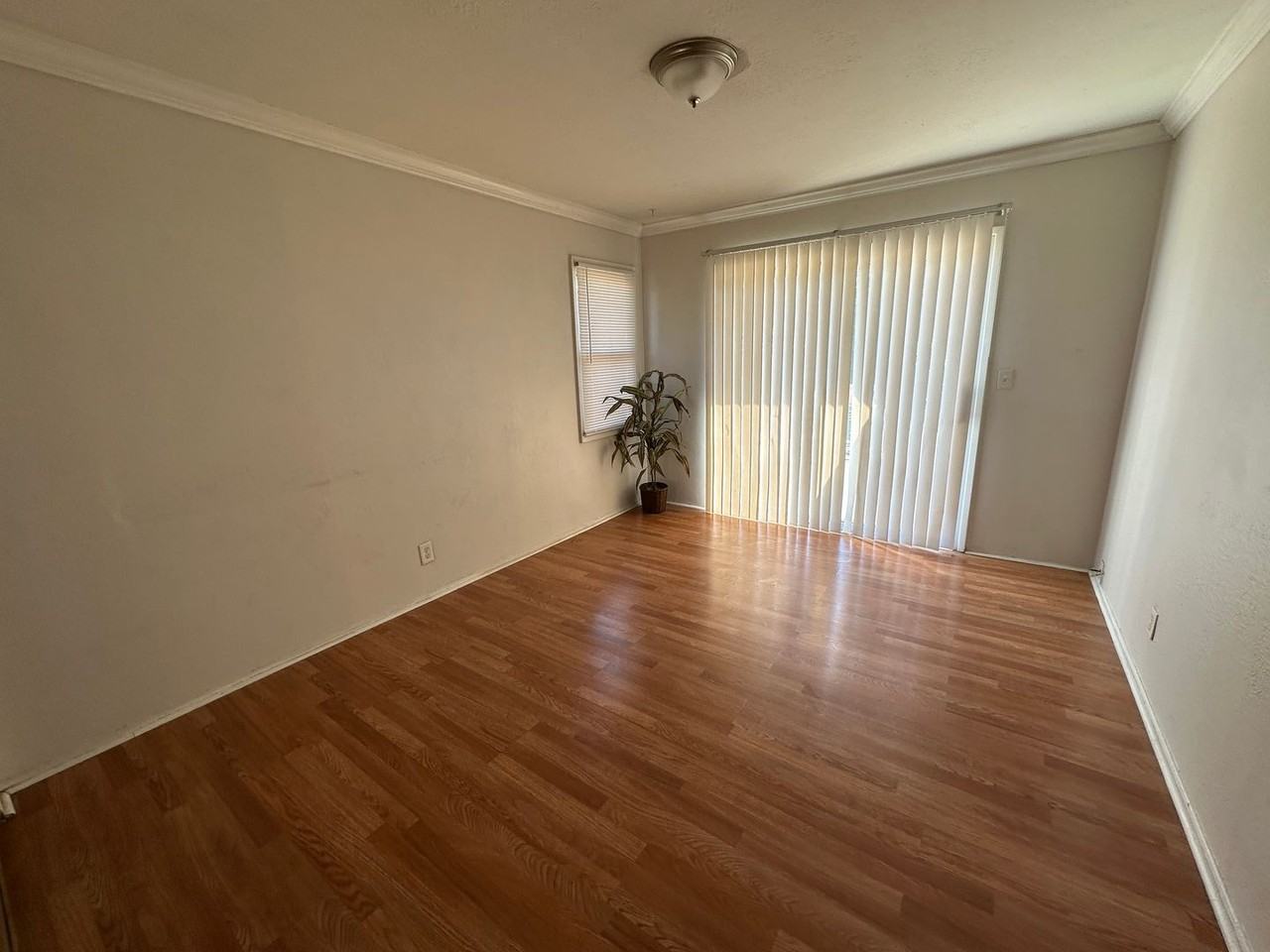 546 Richmond Ave - Photo 6 of 11