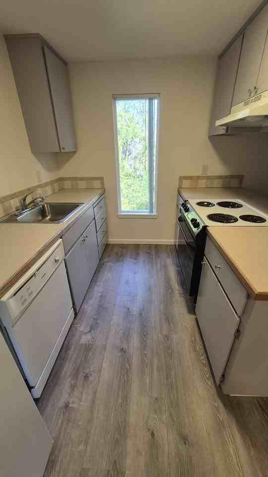 Multnomah Woods - Photo 5 of 23