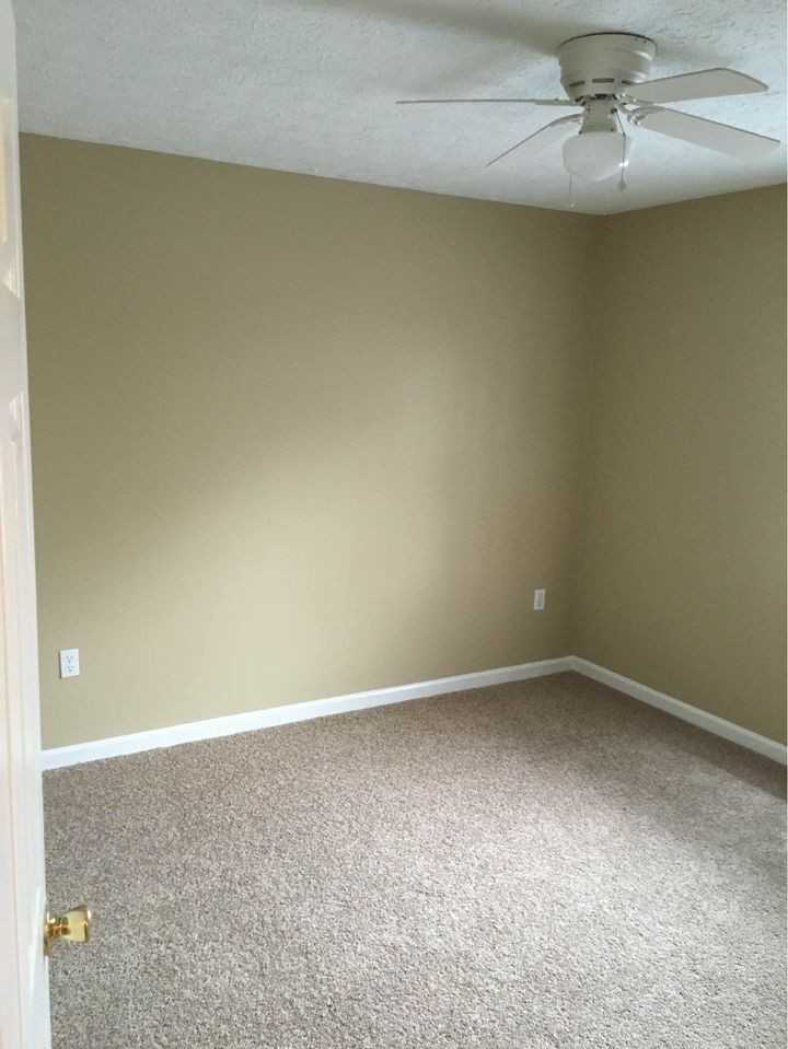 Signature Rentals-239 Wayne Dr. - Photo 7 of 15