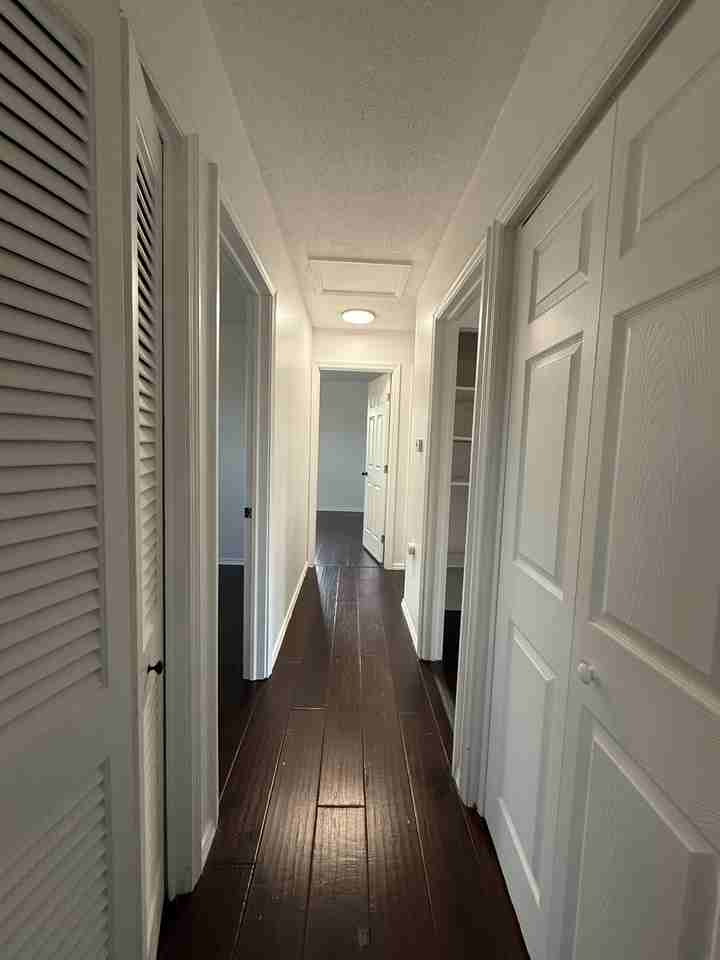 2600 Bingham Ave #1 - Photo 7 of 11