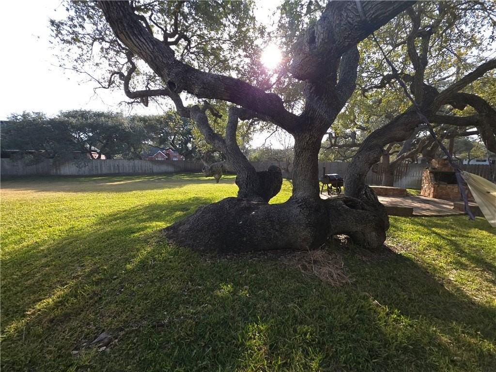 1401 Omohundro St - Photo 3 of 25