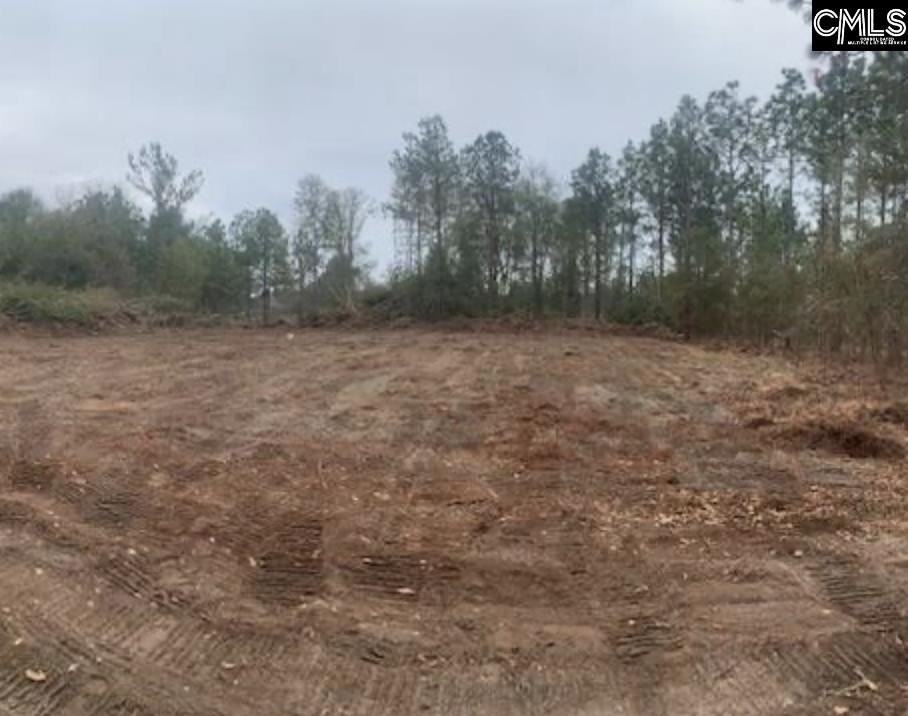 1257B1 Old Orangeburg Rd - Photo 2 of 2