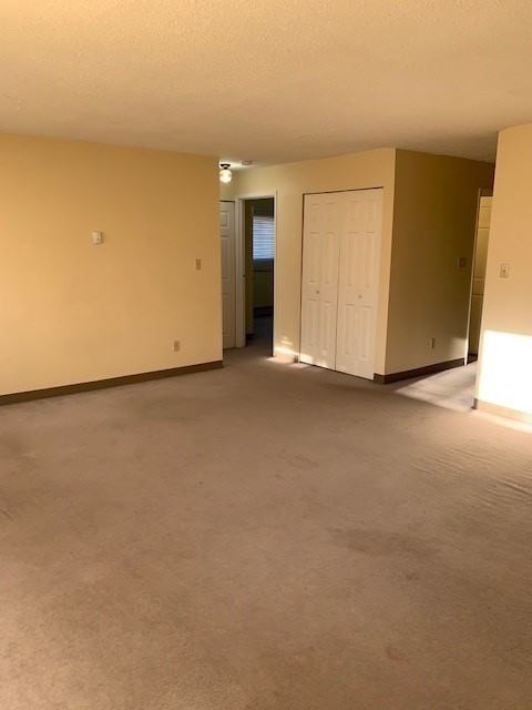 10311 96 Ave #205 - Photo 3 of 17