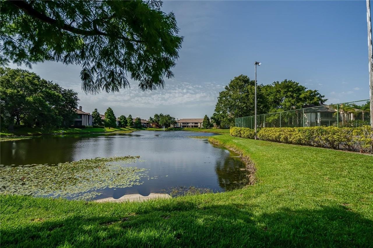 10263 Gandy Blvd N #2106 - Photo 4 of 44
