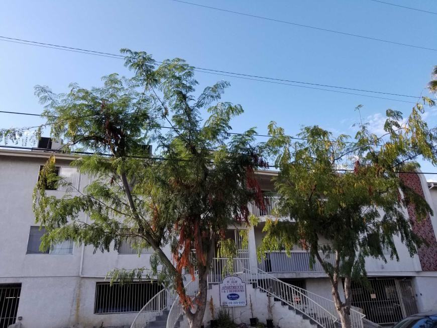 231 W Elm Ave - Photo 3 of 10