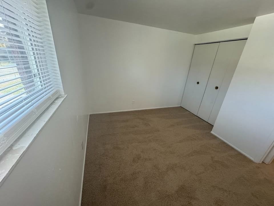 1810 Queenswood Dr #P - Photo 4 of 7