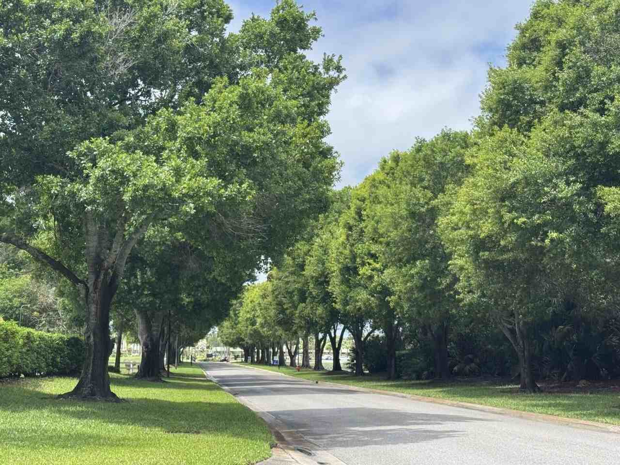 9975 Perfect Dr #97 - Photo 5 of 13