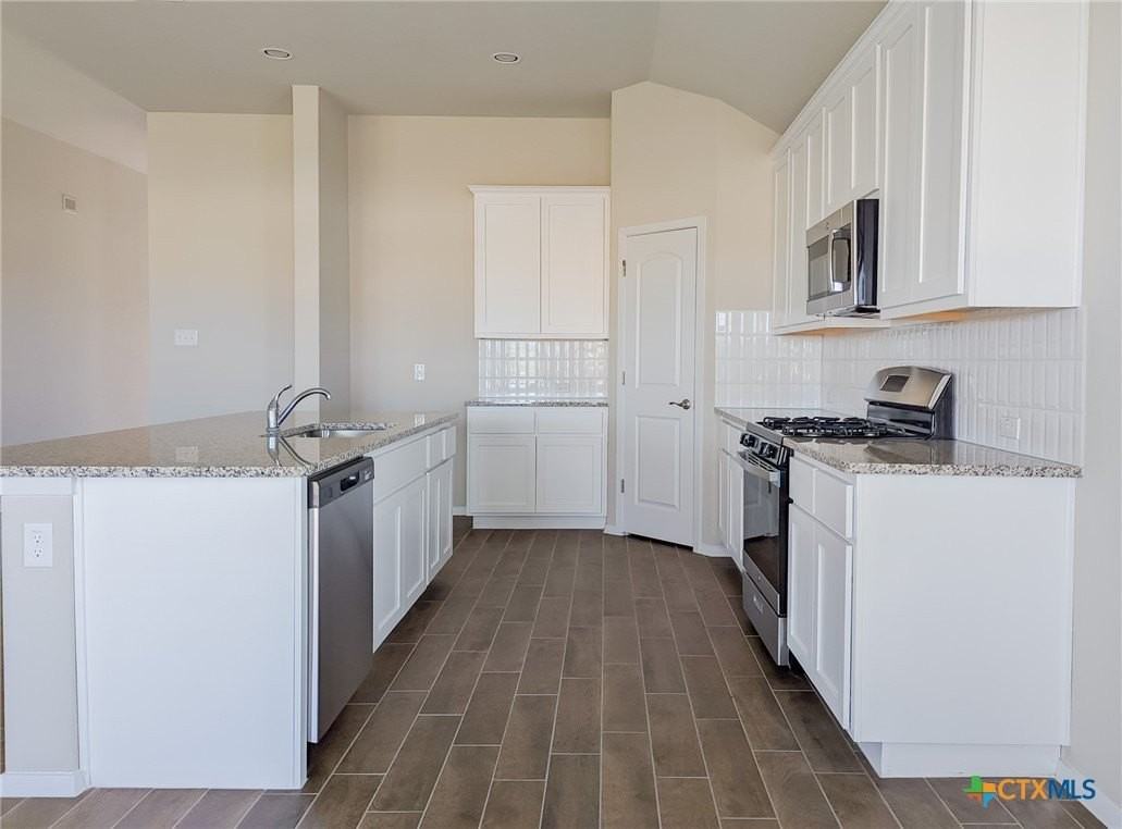 139 Spiny Lizard Ln - Photo 4 of 17