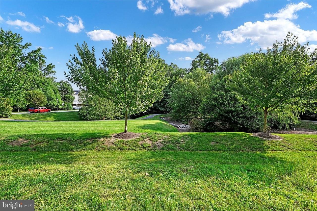 8409 Wood Thrush Way - Photo 7 of 34