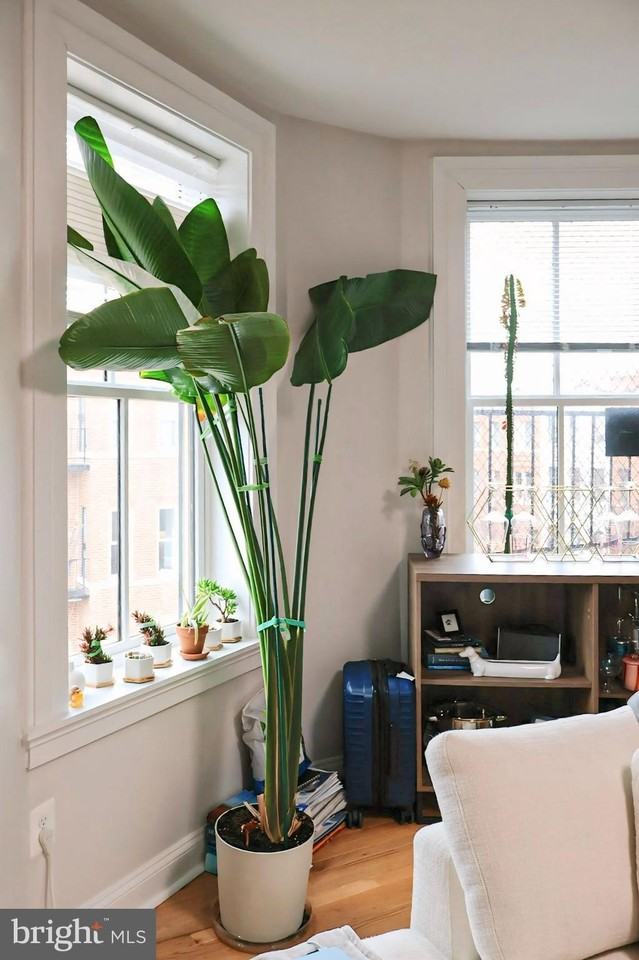 1734 Bolton St Apt 3r - Photo 5 of 38