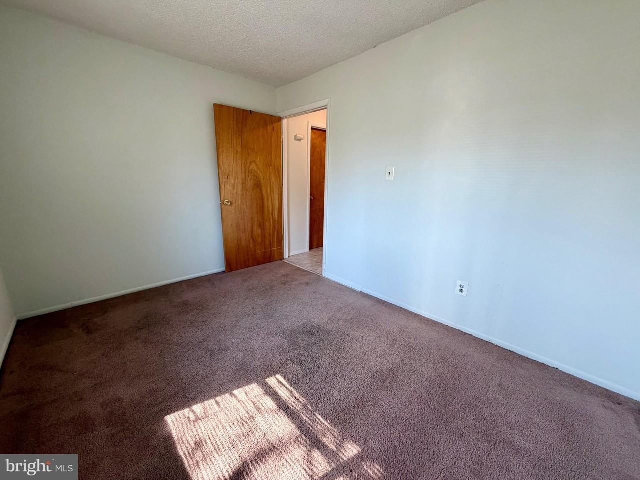 21 Alexander Ct - Photo 4 of 28