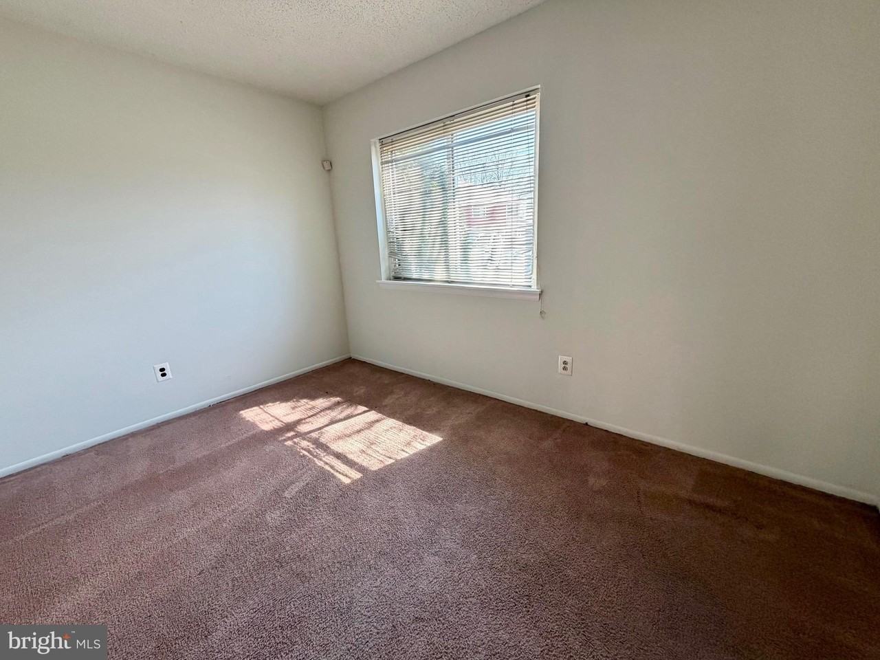 21 Alexander Ct - Photo 5 of 28