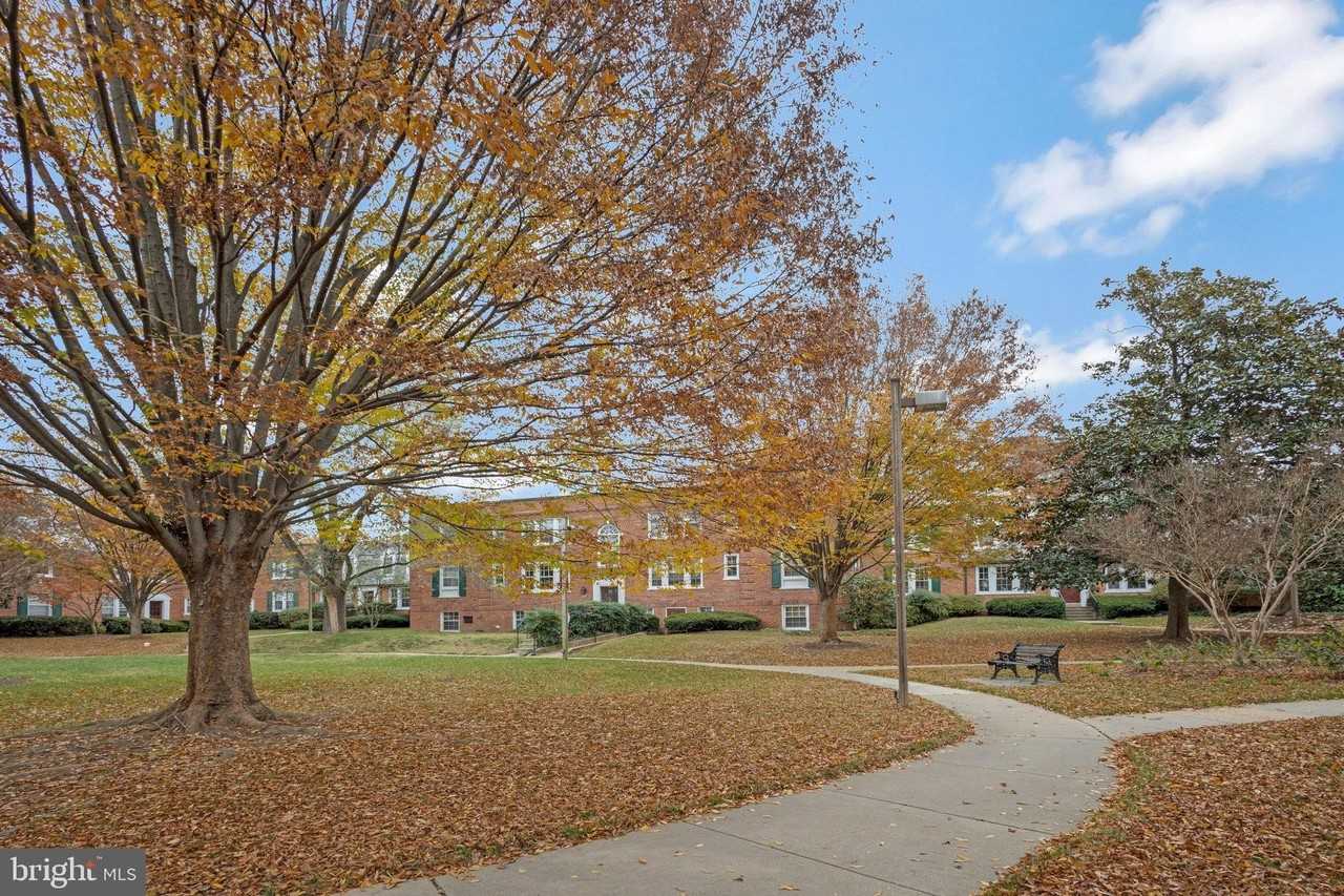 1804 N Queens Ln Unit 4-207 - Photo 2 of 24