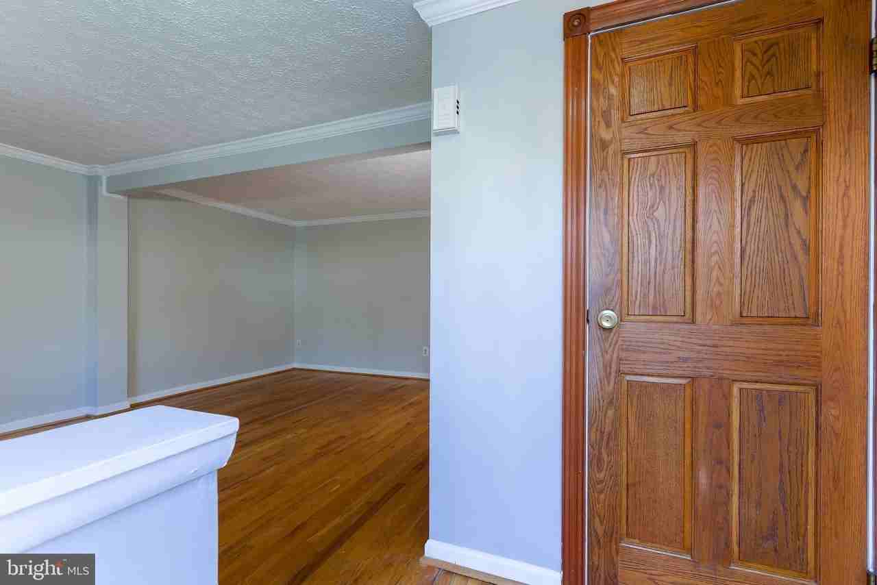 11517 Ivy Bush Ct - Photo 3 of 50