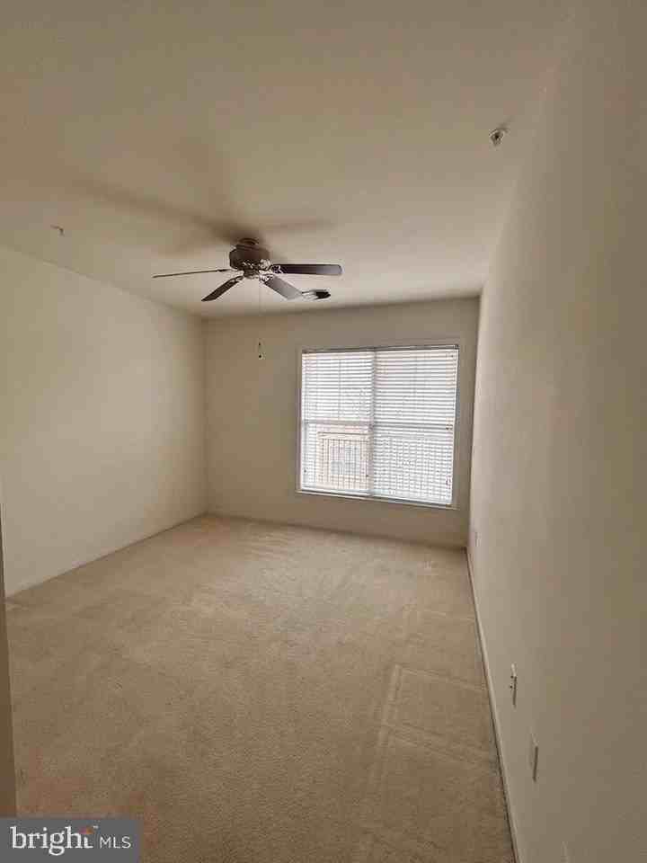 3810 Lightfoot St #206 - Photo 2 of 15