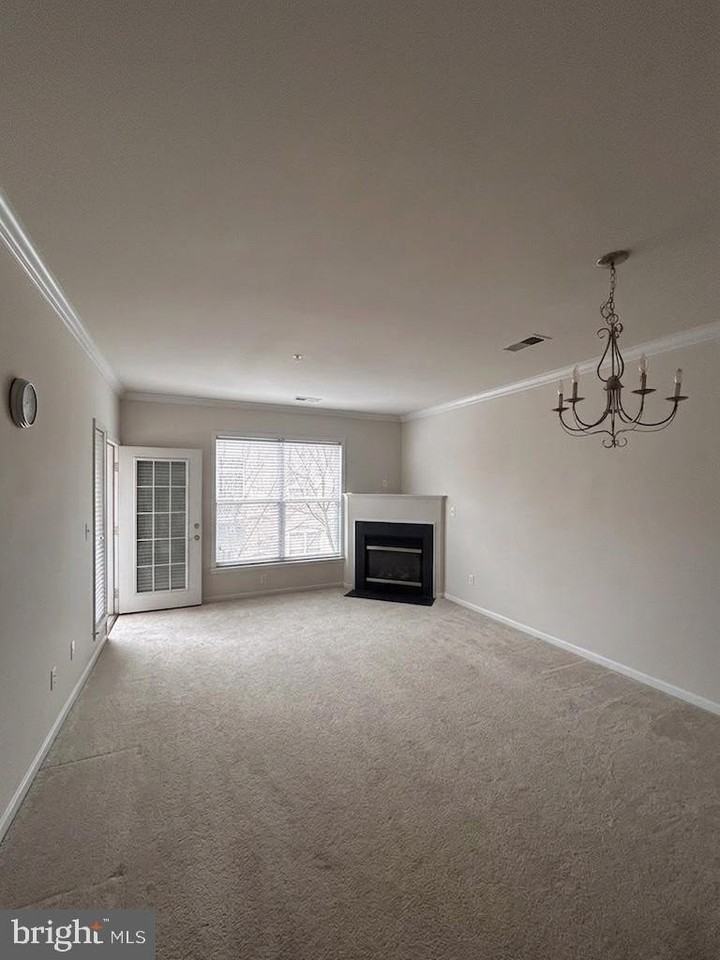 3810 Lightfoot St #206 - Photo 7 of 15