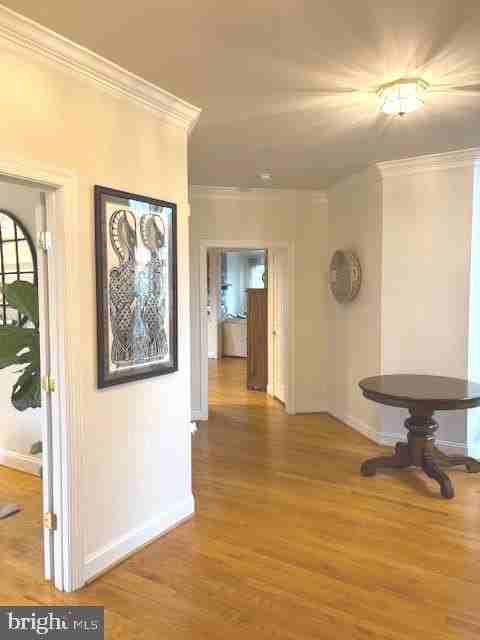 5924 Chesterbrook Rd - Photo 4 of 18