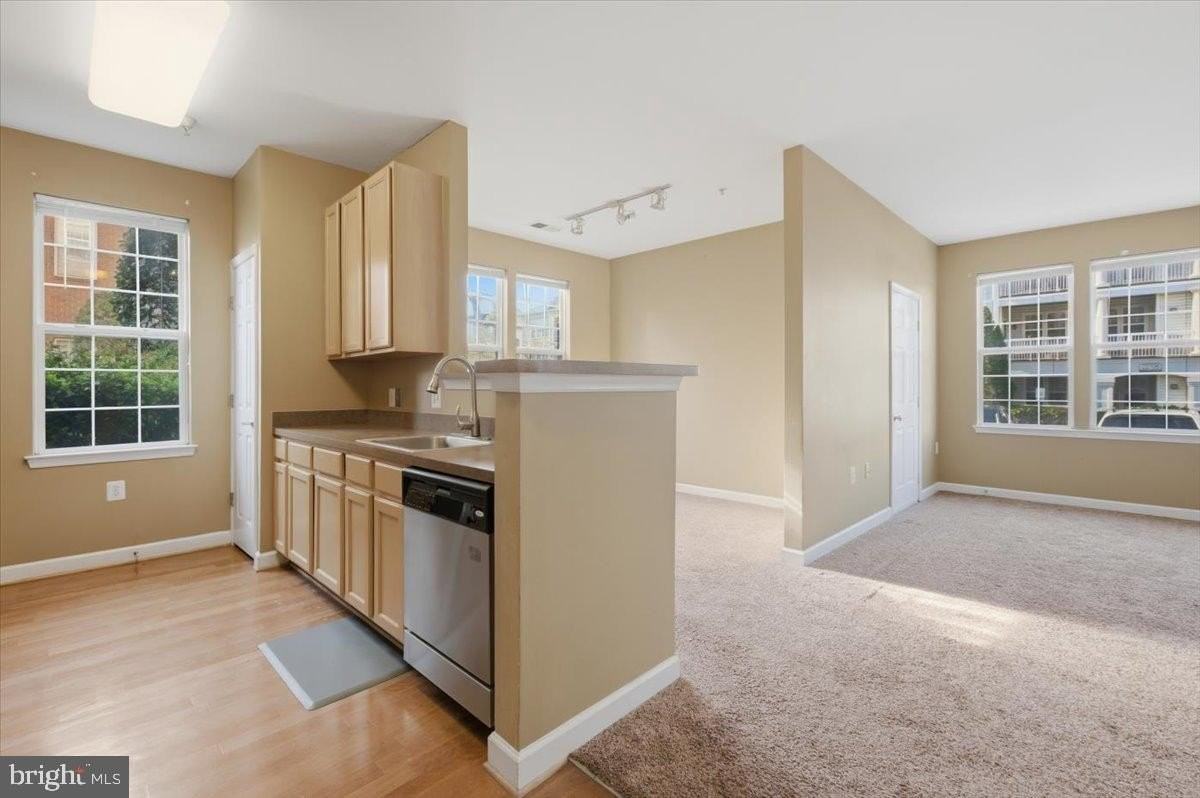 22691 Blue Elder Ter Unit 101 - Photo 4 of 20