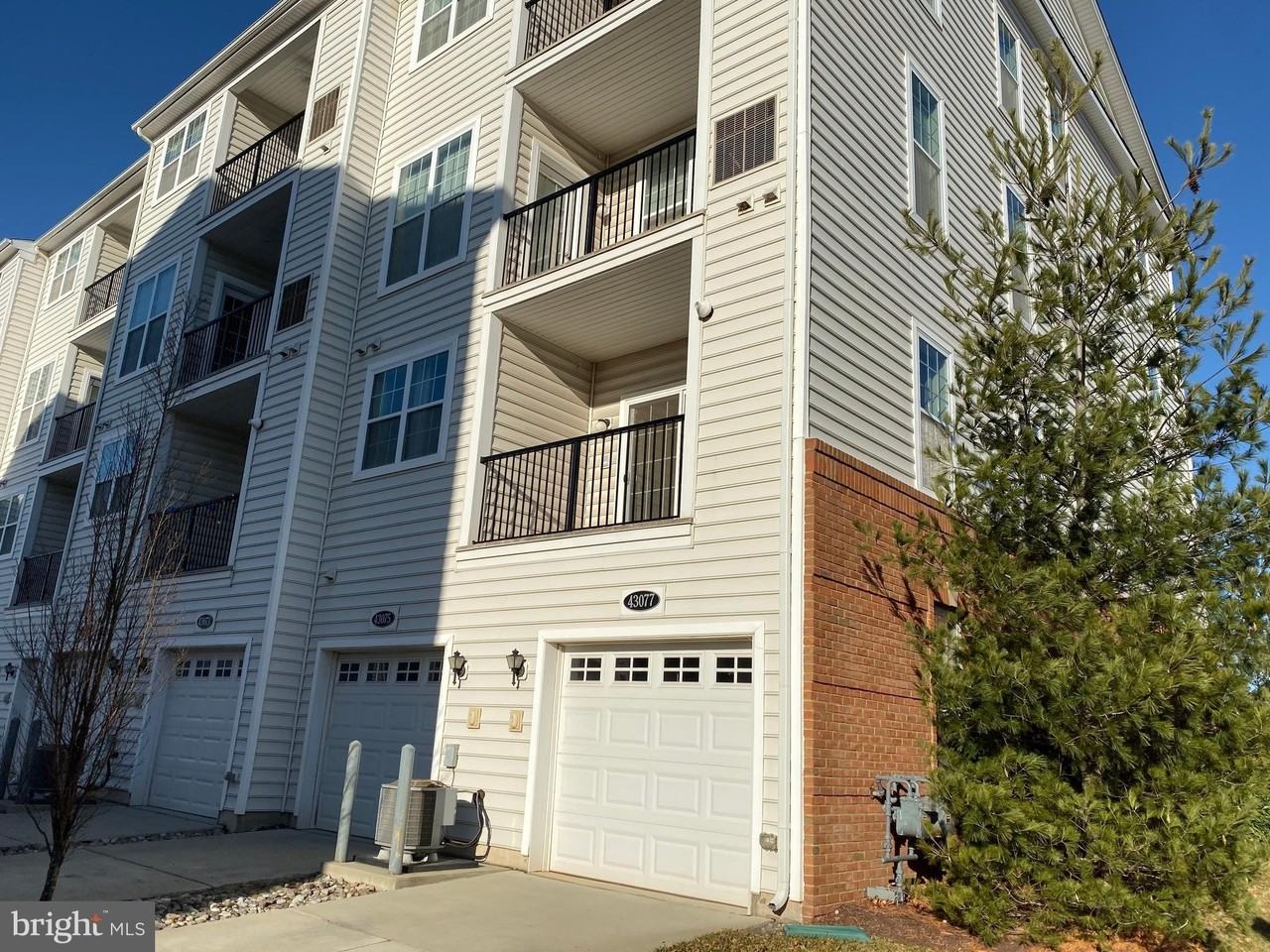 43075 Thoroughfare Gap Ter - Photo 7 of 17